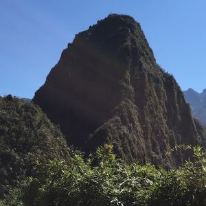 Meet your Posher, Ann